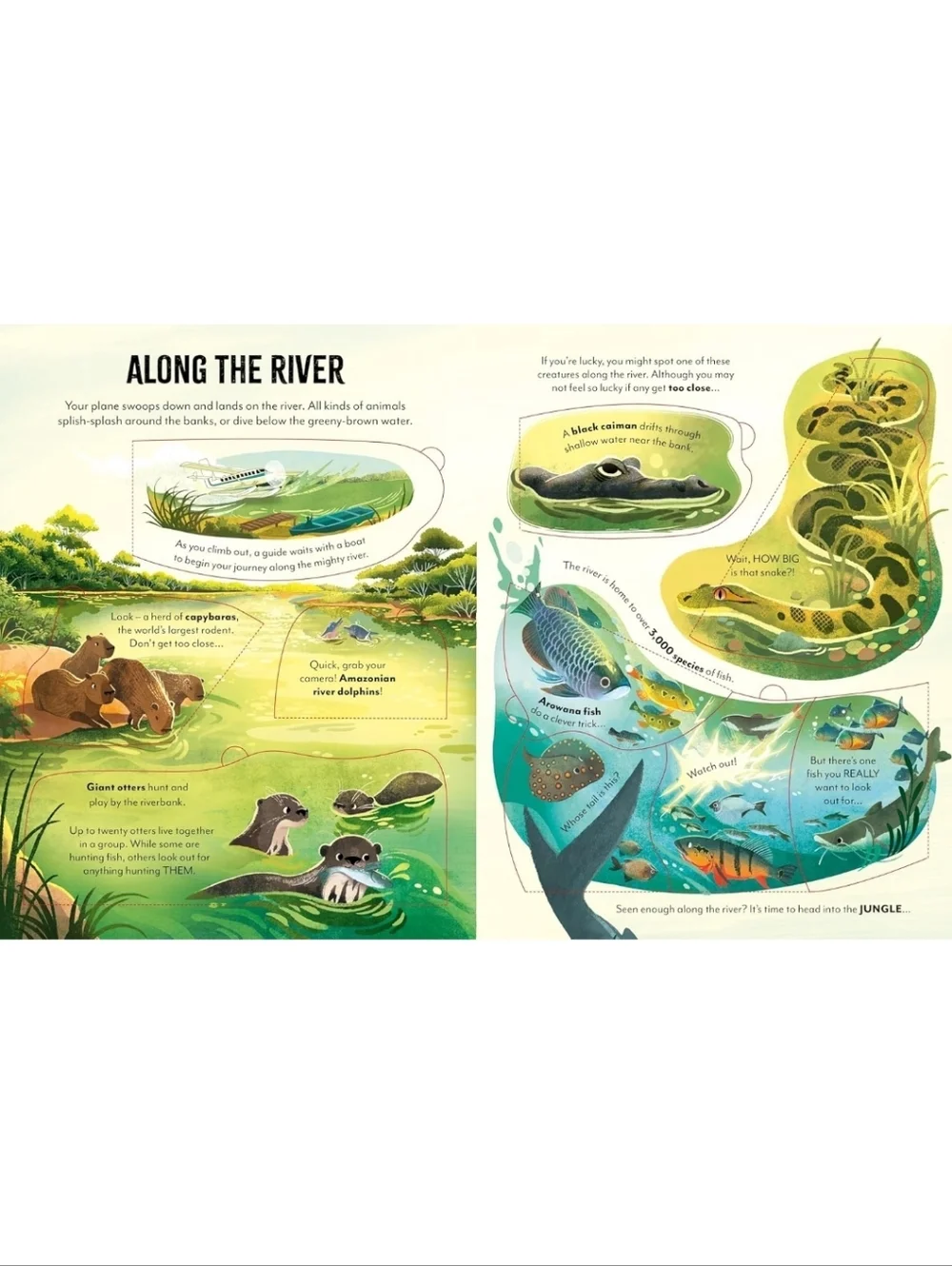 Extreme Planet Journey Through The Amazon A Lift-the-Flap Book NEW